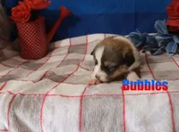 processed/96a9208e-0db9-451e-8630-d87ef0f00e4e/listing/3f8a64b6-131d-45dd-939f-45e1730658f9/ce09b0e7-0b78-4a49-ae41-063c39965250