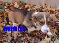 processed/96a9208e-0db9-451e-8630-d87ef0f00e4e/listing/3f8a64b6-131d-45dd-939f-45e1730658f9/d9e4e19c-09e9-4852-84d2-cc3cf4ea9db4