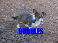 processed/96a9208e-0db9-451e-8630-d87ef0f00e4e/listing/3f8a64b6-131d-45dd-939f-45e1730658f9/db98528e-87dd-491f-96e5-6d559b028e32