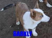 processed/96a9208e-0db9-451e-8630-d87ef0f00e4e/listing/51742d94-31c9-4126-9504-c333e923904a/0b82f69b-208c-4791-b8fb-080f65877a90