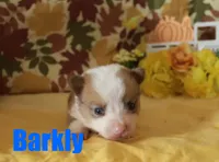 processed/96a9208e-0db9-451e-8630-d87ef0f00e4e/listing/51742d94-31c9-4126-9504-c333e923904a/210e345f-dfce-42e2-8be5-60ebb8a13976