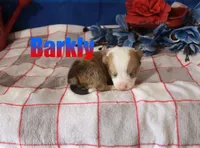 processed/96a9208e-0db9-451e-8630-d87ef0f00e4e/listing/51742d94-31c9-4126-9504-c333e923904a/49a2290d-d4df-4f8b-b1c4-c26f8a86464a