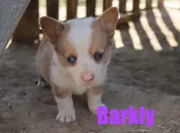 processed/96a9208e-0db9-451e-8630-d87ef0f00e4e/listing/51742d94-31c9-4126-9504-c333e923904a/4c3dafcb-6d93-449b-ab95-a35293e841d1