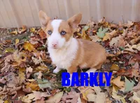 processed/96a9208e-0db9-451e-8630-d87ef0f00e4e/listing/51742d94-31c9-4126-9504-c333e923904a/804f64d1-48d2-45ad-be73-d8fe09f1495d