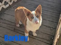 processed/96a9208e-0db9-451e-8630-d87ef0f00e4e/listing/51742d94-31c9-4126-9504-c333e923904a/b6486e68-b098-4b24-9570-a299c62e0850