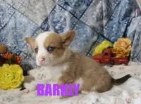 processed/96a9208e-0db9-451e-8630-d87ef0f00e4e/listing/51742d94-31c9-4126-9504-c333e923904a/e0ea0110-eaeb-485d-8690-9eda6b086cef