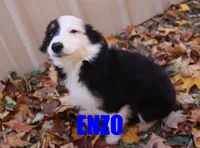 processed/96a9208e-0db9-451e-8630-d87ef0f00e4e/listing/51818705-cf21-4917-a5d5-a59a86737897/16185cca-04c7-4e5b-a4ad-4c8def1dfc7b