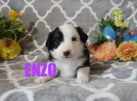 processed/96a9208e-0db9-451e-8630-d87ef0f00e4e/listing/51818705-cf21-4917-a5d5-a59a86737897/2d0eb553-ce6e-4165-809a-439befd2a350