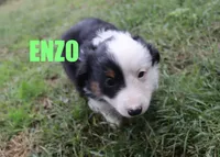 processed/96a9208e-0db9-451e-8630-d87ef0f00e4e/listing/51818705-cf21-4917-a5d5-a59a86737897/78fc1415-1125-44b1-bfe8-f4c78f9921d0