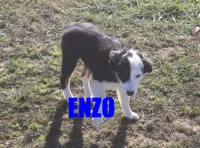 processed/96a9208e-0db9-451e-8630-d87ef0f00e4e/listing/51818705-cf21-4917-a5d5-a59a86737897/9d99804d-9d50-4e7b-b5af-72268224bb4e