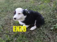 processed/96a9208e-0db9-451e-8630-d87ef0f00e4e/listing/51818705-cf21-4917-a5d5-a59a86737897/c533d61b-4e76-411e-9bd8-cef186d79c29