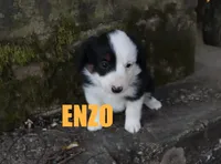 processed/96a9208e-0db9-451e-8630-d87ef0f00e4e/listing/51818705-cf21-4917-a5d5-a59a86737897/f8773875-ab31-4775-adfa-920431539b46