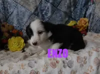 processed/96a9208e-0db9-451e-8630-d87ef0f00e4e/listing/51818705-cf21-4917-a5d5-a59a86737897/fd2ec904-ad58-4bb5-9a5d-9c73b88eeff9