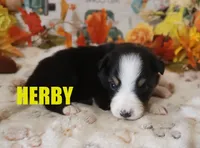 processed/96a9208e-0db9-451e-8630-d87ef0f00e4e/listing/7b8191e2-e477-43d3-903f-26d06de9466e/0eb83045-db2a-4c83-984b-c11a20179e87