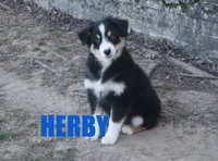 processed/96a9208e-0db9-451e-8630-d87ef0f00e4e/listing/7b8191e2-e477-43d3-903f-26d06de9466e/1bf9ded5-c240-4d6e-86f3-2b78a825e24b