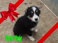 processed/96a9208e-0db9-451e-8630-d87ef0f00e4e/listing/7b8191e2-e477-43d3-903f-26d06de9466e/66974459-6ebd-477c-90b3-11f6080fa295