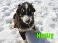 processed/96a9208e-0db9-451e-8630-d87ef0f00e4e/listing/7b8191e2-e477-43d3-903f-26d06de9466e/7ed4e7bd-0e3e-47a7-8dd4-55d4fae3a7b0