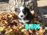 processed/96a9208e-0db9-451e-8630-d87ef0f00e4e/listing/7b8191e2-e477-43d3-903f-26d06de9466e/a22def75-32f2-4267-951f-1612b4885e5c