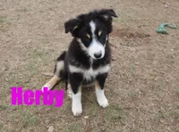 processed/96a9208e-0db9-451e-8630-d87ef0f00e4e/listing/7b8191e2-e477-43d3-903f-26d06de9466e/c3e912b8-b35f-469a-b17b-22d212d33480