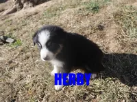 processed/96a9208e-0db9-451e-8630-d87ef0f00e4e/listing/7b8191e2-e477-43d3-903f-26d06de9466e/d8ca538c-7097-4aef-a9d6-45c6d187bd44