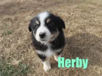 processed/96a9208e-0db9-451e-8630-d87ef0f00e4e/listing/7b8191e2-e477-43d3-903f-26d06de9466e/f5e68394-c7cc-40fd-a845-f5b211e238d5