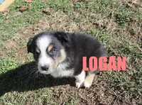 processed/96a9208e-0db9-451e-8630-d87ef0f00e4e/listing/99cb0f3d-31d4-4ab4-9857-716258694beb/2048f21c-d56f-4d32-89e4-92daa2c55d95