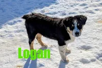 processed/96a9208e-0db9-451e-8630-d87ef0f00e4e/listing/99cb0f3d-31d4-4ab4-9857-716258694beb/2f807163-d888-4985-9782-6f9b5161bbb1