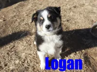 processed/96a9208e-0db9-451e-8630-d87ef0f00e4e/listing/99cb0f3d-31d4-4ab4-9857-716258694beb/754938ee-b68f-4324-86a0-c597b33e552b