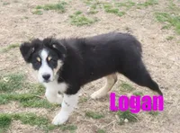 processed/96a9208e-0db9-451e-8630-d87ef0f00e4e/listing/99cb0f3d-31d4-4ab4-9857-716258694beb/78fc9734-8706-490f-af34-744d488d3f30