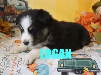 processed/96a9208e-0db9-451e-8630-d87ef0f00e4e/listing/99cb0f3d-31d4-4ab4-9857-716258694beb/ce5c36dc-65c7-453b-b1bc-a5a6012cbf83