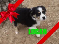 processed/96a9208e-0db9-451e-8630-d87ef0f00e4e/listing/99cb0f3d-31d4-4ab4-9857-716258694beb/ea88abe0-598a-4672-afe3-7013f6092ccf