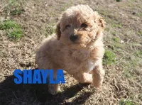 processed/96a9208e-0db9-451e-8630-d87ef0f00e4e/listing/bfadbb9f-6f06-41eb-b0b3-d5cf9bab3448/538d3a9b-1a9e-486b-bb50-b2ed9e82eecb