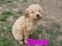 processed/96a9208e-0db9-451e-8630-d87ef0f00e4e/listing/bfadbb9f-6f06-41eb-b0b3-d5cf9bab3448/d84a0feb-7047-4e03-8a9c-60060bf75517