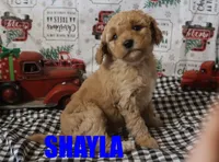 processed/96a9208e-0db9-451e-8630-d87ef0f00e4e/listing/bfadbb9f-6f06-41eb-b0b3-d5cf9bab3448/dd91434d-e718-48c8-bda6-7257c12f284c