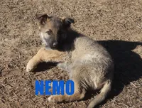 processed/96a9208e-0db9-451e-8630-d87ef0f00e4e/listing/dc8c507a-a71f-4e20-8eb0-68e0d58f5ff5/3580e03b-964c-4b9b-a2c4-436e1f8332c9