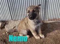 processed/96a9208e-0db9-451e-8630-d87ef0f00e4e/listing/dc8c507a-a71f-4e20-8eb0-68e0d58f5ff5/3bf1ec5f-6bd6-4e99-b79e-2266a69b020a