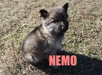 processed/96a9208e-0db9-451e-8630-d87ef0f00e4e/listing/dc8c507a-a71f-4e20-8eb0-68e0d58f5ff5/932a5db1-4953-4832-93bc-c4035565b932