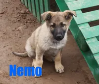 processed/96a9208e-0db9-451e-8630-d87ef0f00e4e/listing/dc8c507a-a71f-4e20-8eb0-68e0d58f5ff5/b29f4d16-68fb-4afd-9729-b6d892a69b0a