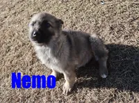 processed/96a9208e-0db9-451e-8630-d87ef0f00e4e/listing/dc8c507a-a71f-4e20-8eb0-68e0d58f5ff5/d4984ff5-7ec9-4598-accd-fe8d50475d09