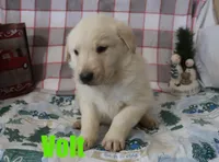 processed/96a9208e-0db9-451e-8630-d87ef0f00e4e/listing/df4e271b-6c30-441b-b4c5-e25ed43a61d9/07048aee-c32a-4b5f-b442-23e199690610