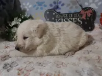 processed/96a9208e-0db9-451e-8630-d87ef0f00e4e/listing/df4e271b-6c30-441b-b4c5-e25ed43a61d9/6e55f48a-9126-4082-ba76-db233c094272