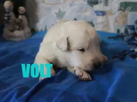 processed/96a9208e-0db9-451e-8630-d87ef0f00e4e/listing/df4e271b-6c30-441b-b4c5-e25ed43a61d9/750ea0e3-f731-4558-b463-743acd6a22ae