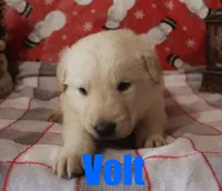 processed/96a9208e-0db9-451e-8630-d87ef0f00e4e/listing/df4e271b-6c30-441b-b4c5-e25ed43a61d9/7d4261a3-bbe0-430b-806a-99850de827ec