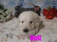 processed/96a9208e-0db9-451e-8630-d87ef0f00e4e/listing/df4e271b-6c30-441b-b4c5-e25ed43a61d9/9a12cae7-2be5-49ff-8f0e-f8b74744e896