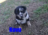 processed/96a9208e-0db9-451e-8630-d87ef0f00e4e/listing/ec68430d-a520-4fac-ace3-b5ff294103bf/330cdfbf-b343-489c-8d97-b2e4bfdb953c