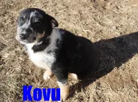 processed/96a9208e-0db9-451e-8630-d87ef0f00e4e/listing/ec68430d-a520-4fac-ace3-b5ff294103bf/71e3469e-2f94-468e-8b3c-b9fc81a4b1a7