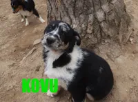 processed/96a9208e-0db9-451e-8630-d87ef0f00e4e/listing/ec68430d-a520-4fac-ace3-b5ff294103bf/8319e5a5-f183-456a-a01f-29371cc78a50