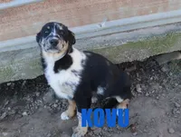 processed/96a9208e-0db9-451e-8630-d87ef0f00e4e/listing/ec68430d-a520-4fac-ace3-b5ff294103bf/a65c765c-d7be-4ff5-a0a5-ba68a2b40b51