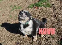 processed/96a9208e-0db9-451e-8630-d87ef0f00e4e/listing/ec68430d-a520-4fac-ace3-b5ff294103bf/bea00309-cf5f-4866-93fe-08749467149e