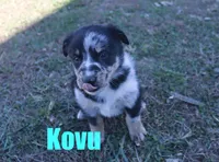 processed/96a9208e-0db9-451e-8630-d87ef0f00e4e/listing/ec68430d-a520-4fac-ace3-b5ff294103bf/e2bb3b65-4a9d-4c30-abce-152e679c31ae